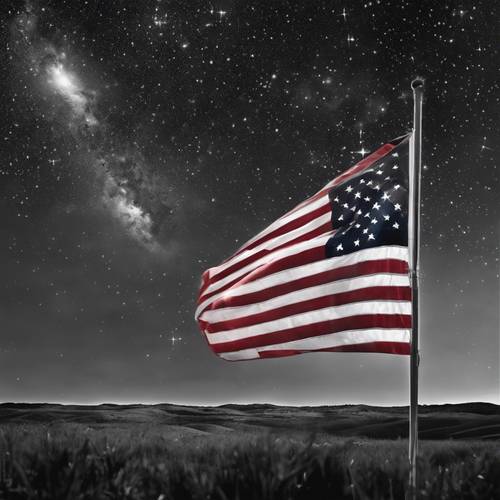 A starry night with an American flag blowing, all colors are in black and white.