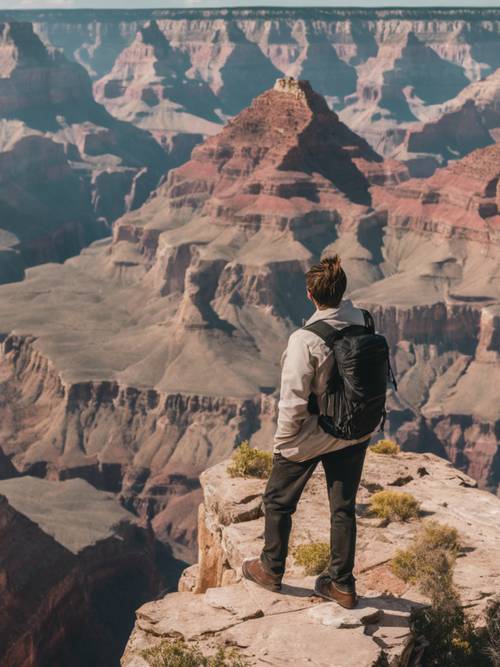 A person at the precipice of a grand canyon, the expansive nature surrounding the phrase 'You are never too old to set another goal or to dream a new dream.'. Tapeet [58ede090f2934e34a103]