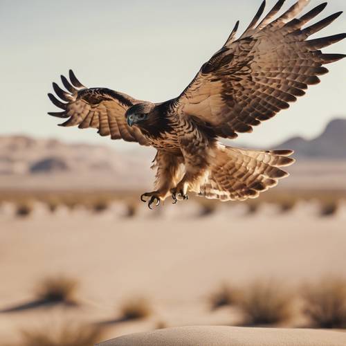 Ein Falke hebt von seinem Sitz in einer kühlen, beigen Wüstenlandschaft ab.