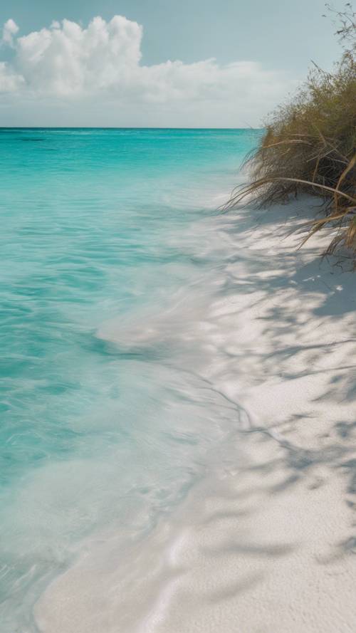 منظر مبهج للبحر الاستوائي الفيروزي الصافي، مع ظهور الرمال البيضاء في المناطق الضحلة.