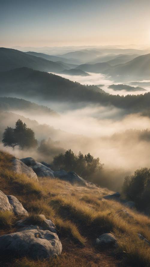 清晨，從一座僻靜的山峰上看到的霧濛濛的景色，被微妙的陽光穿透霧氣所點綴。