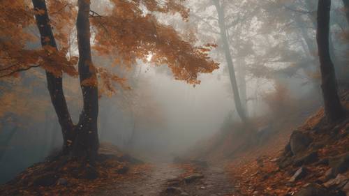 On a misty mountain trail, aesthetic quotes formed by the patterns of falling leaves.