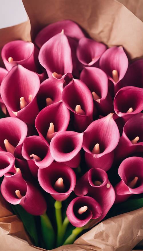 An abundant bouquet of luscious, deep pink calla lilies wrapped in brown paper.
