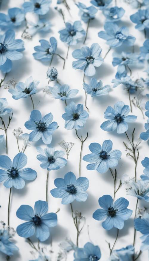 An intricate pattern of baby blue colored flowers on a white background. Tapeet [ae0bf89d1ccd41dca5f9]