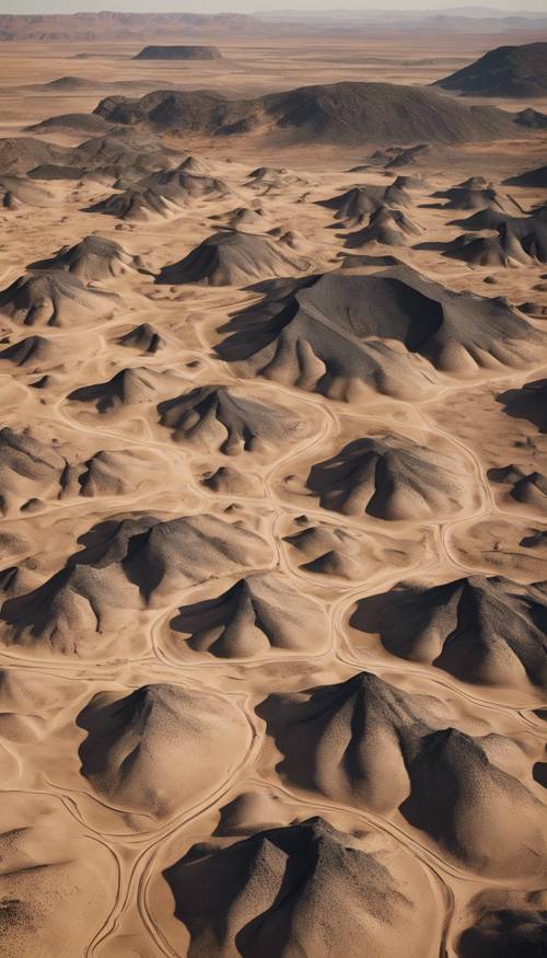 Aerial view of a beige desert landscape with black volcanic rocks.