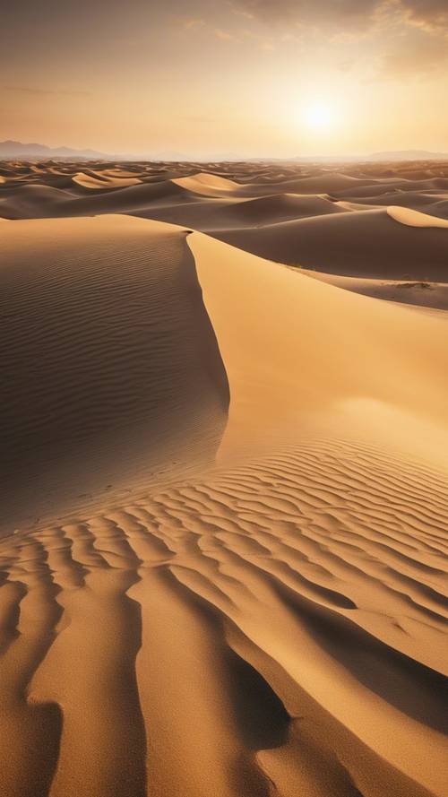 Pemandangan bukit pasir luas yang tenang bermandikan cahaya senja keemasan, menebarkan bayangan misterius yang panjang.