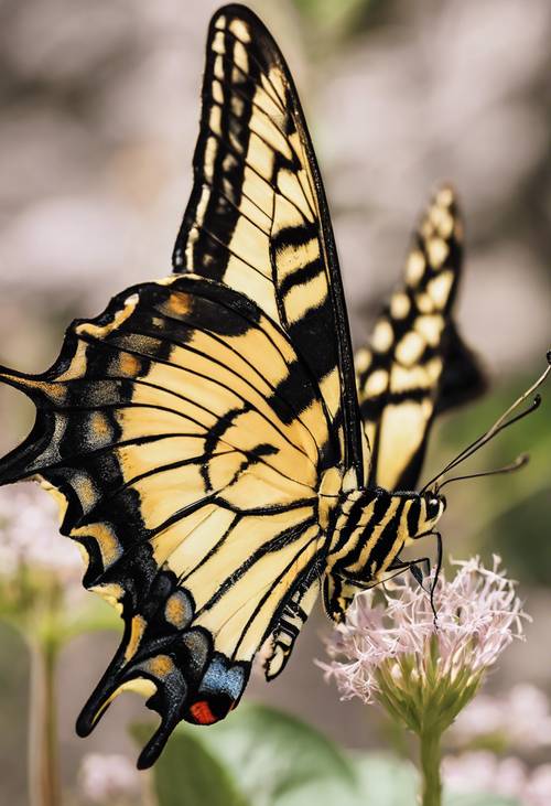 A close-up photograph of the delicate wing patterns of an eastern tiger swallowtail butterfly.