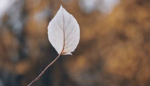 Пятнистый белый лист, кружащийся на холодном осеннем ветру.