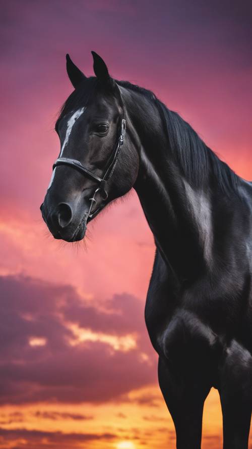 La silhouette di un cavallo nero nella controluce di un&#39;alba colorata.