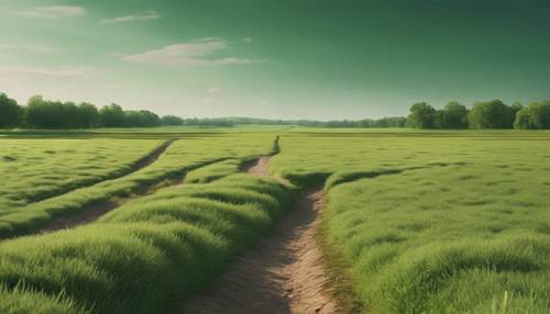 Une plaine verte vide avec un seul chemin de terre traversant le paysage