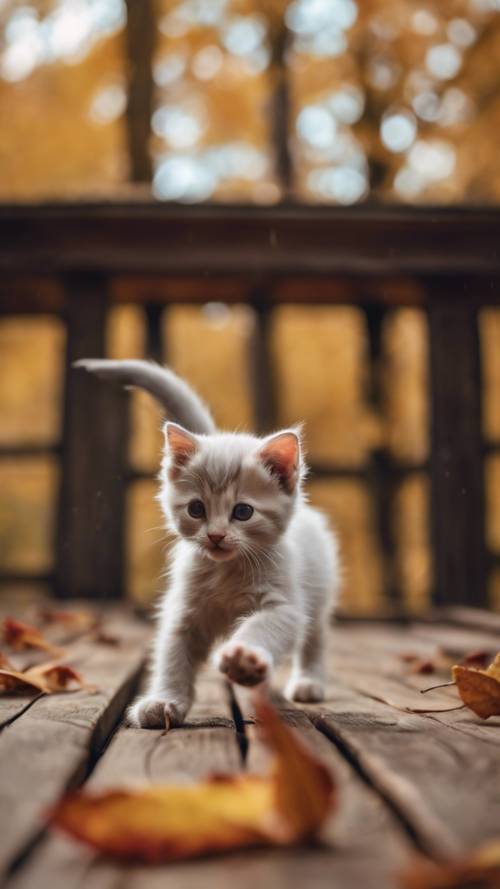 Ciekawy kotek goniący za własnym ogonem na drewnianej werandzie, otoczony jesiennymi liśćmi.