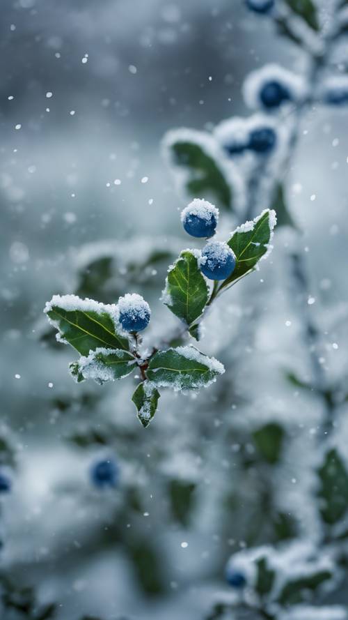 סצנת חורף קפואה עם פרחי הולי כחולים ועלים מכוסים בשלג ירוק.
