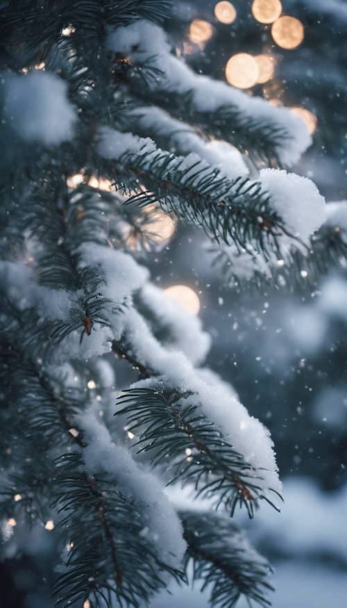 Galhos de um pinheiro cobertos de neve brilhando sob o suave luar.