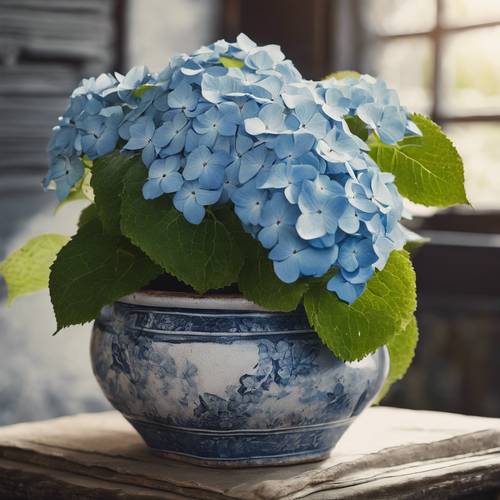 Uma hortênsia azul marinheiro solitária em um vaso de cerâmica antigo.