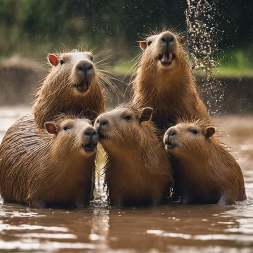 A group of capybaras bathing and splashing around joyfully in a muddy pool.