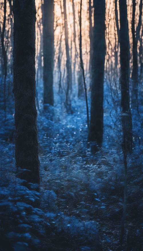 Una misteriosa foresta blu intenso al crepuscolo.