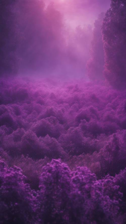 不思議な世界、紫色の霧でできた壁紙