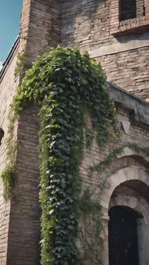 Une tour construite en briques grises avec une vigne de lierre grimpant sur un côté.