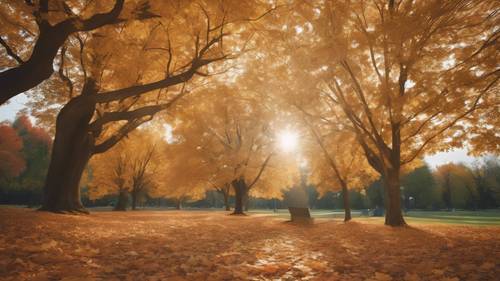 Sakin ve huzurlu bir parktaki akçaağaç ağaçlarından tuhaf bir şekilde dökülen ten rengi sonbahar yaprakları.