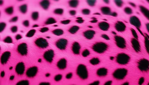 Stylized hot pink cheetah print, the spots appearing like brush strokes". Tapeta [0ea16f90c0b14ab2aa5a]