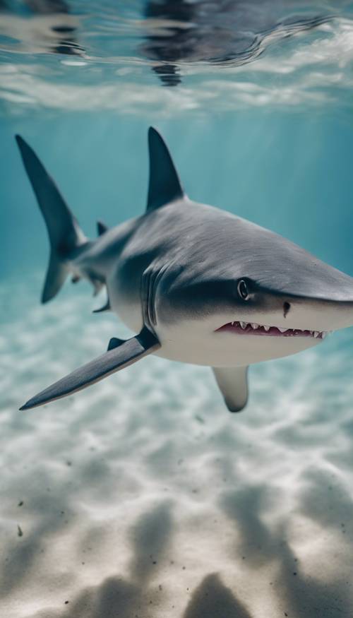 Um pequeno e curioso filhote de tubarão nadando sozinho no profundo mar azul.