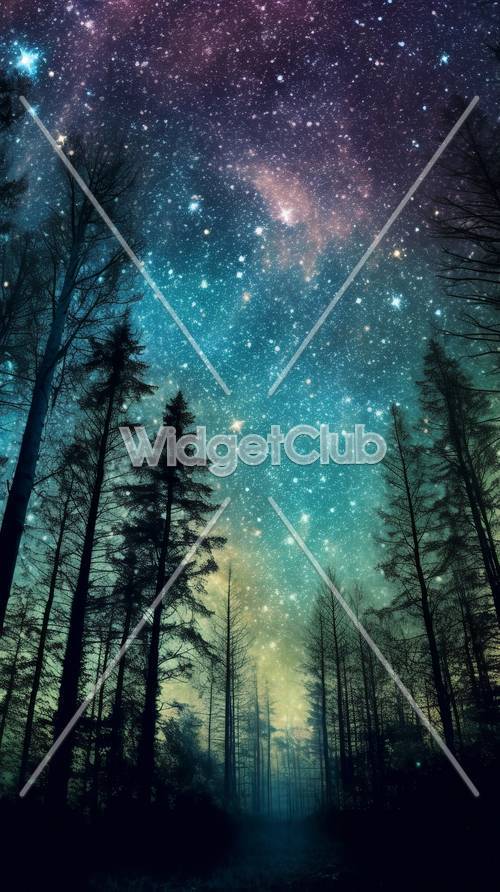 森の木々を通して見る星空 壁紙 [3463358b4f914d0d820e]