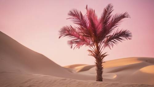 Pohon palem muda berwarna merah muda bergoyang lembut di tengah pasir gurun keemasan yang hangat.