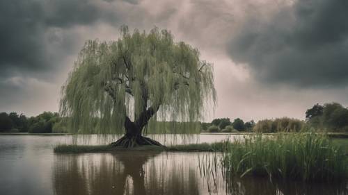 A weeping willow standing alone by a quiet pond under melancholic skies with the moving statement 'Depression is a battle one fights every day'. Tapeta [197a00bfa3a8442b8bb9]