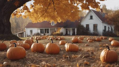 Halloween-Feierlichkeiten in einem Bauernhaus aus den 1930er-Jahren mit geschnitzten Kürbissen, Heuballen und geschmückten Herbstblättern.