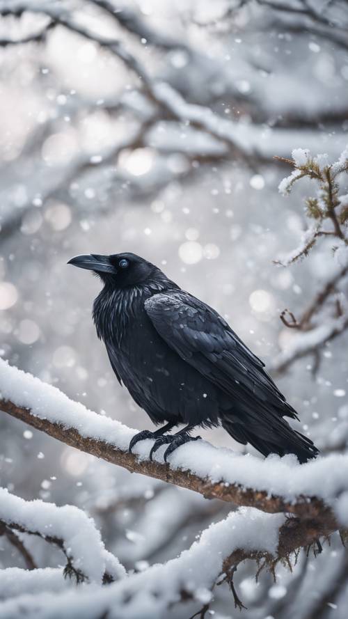 Um misterioso corvo negro empoleirado em um galho branco e coberto de neve.