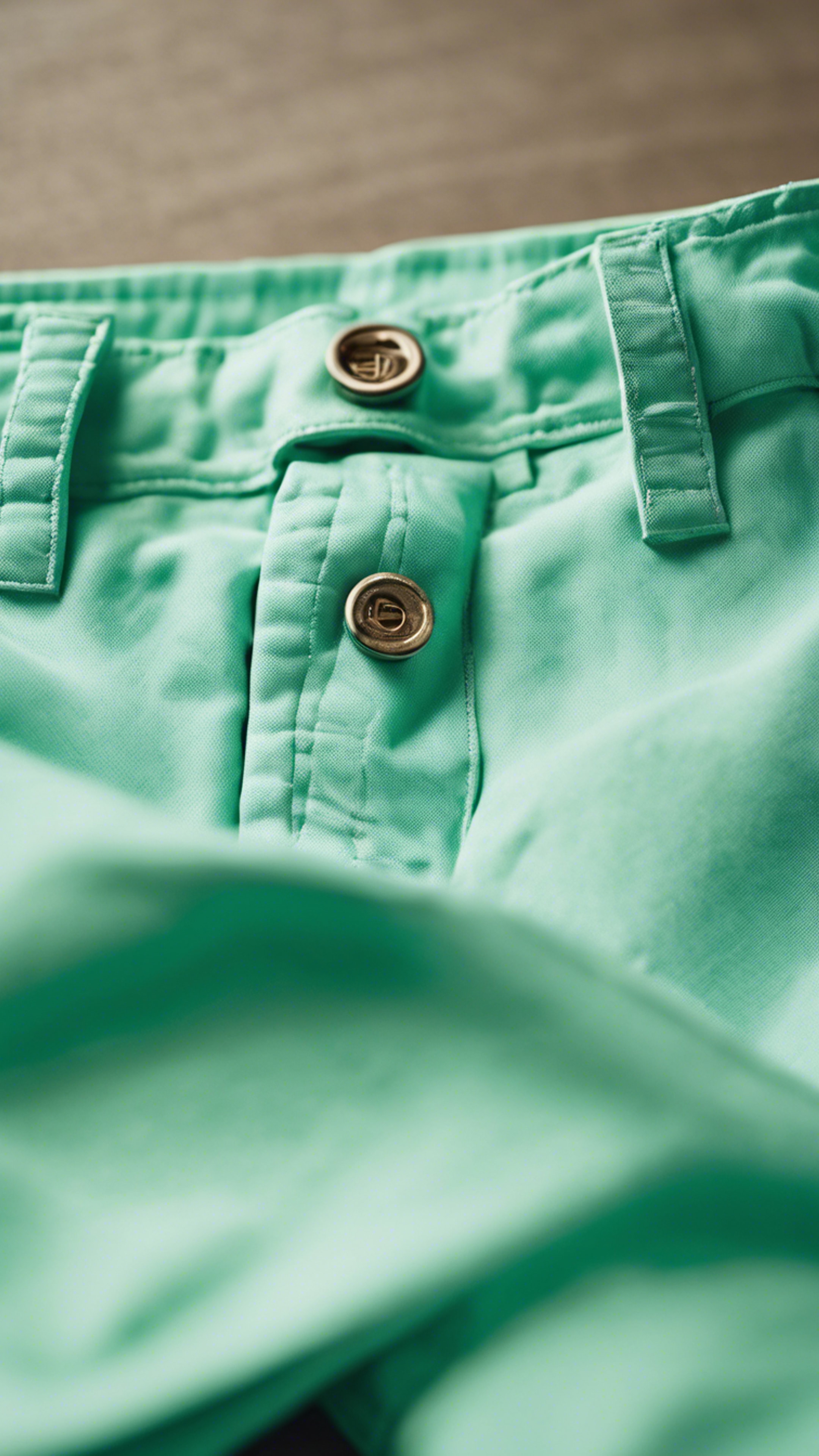 A pair of mint green chino shorts folding neatly, representing preppy fashion style.壁紙[bb5ad74ddabe489792cb]