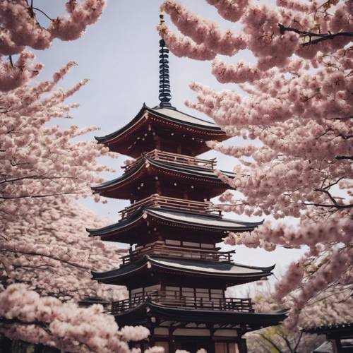 A cherry tree in full bloom against a traditional Japanese pagoda