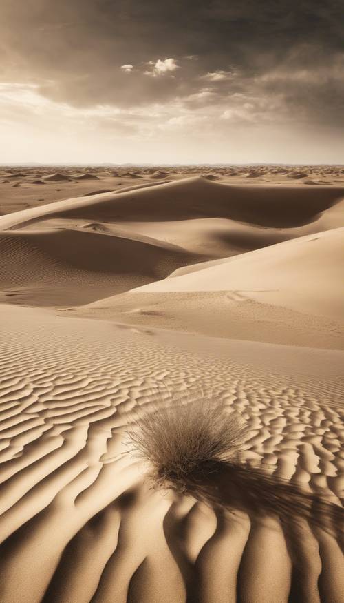 Foto gurun kosong dengan warna sepia tua dengan bukit pasir megah di bawah langit mendung.