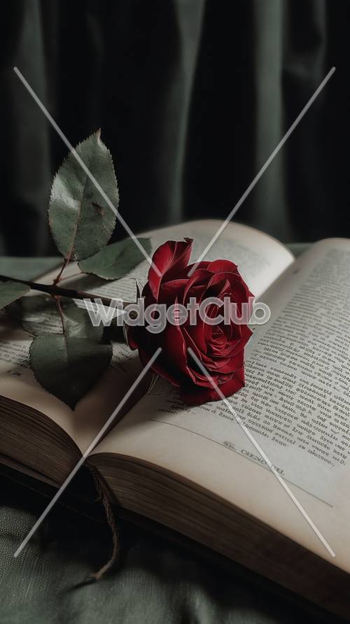 本の上にある赤いバラ