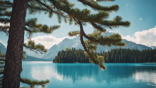 Masmavi bir dağ gölüne bakan sağlam bir çam ağacı