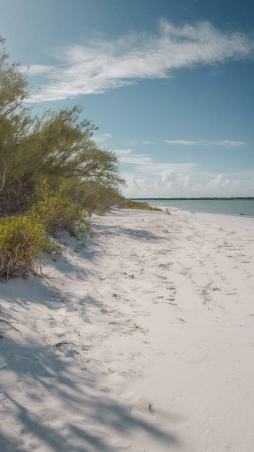 A panoramic view of Honeymoon Island State Park, with pristine beaches and untouched natural beauty.