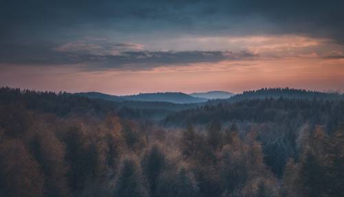 A late twilight sky in the wilderness, successful transition from dark blue to light grey, an example of dark ombre. Kertas dinding [5db10e451ee247618976]