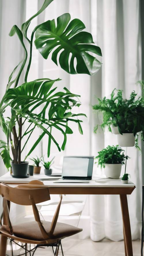Penataan kantor minimalis dengan meja berwarna putih bersih, kursi modern dengan warna hijau cerah, dan pot tanaman hijau.