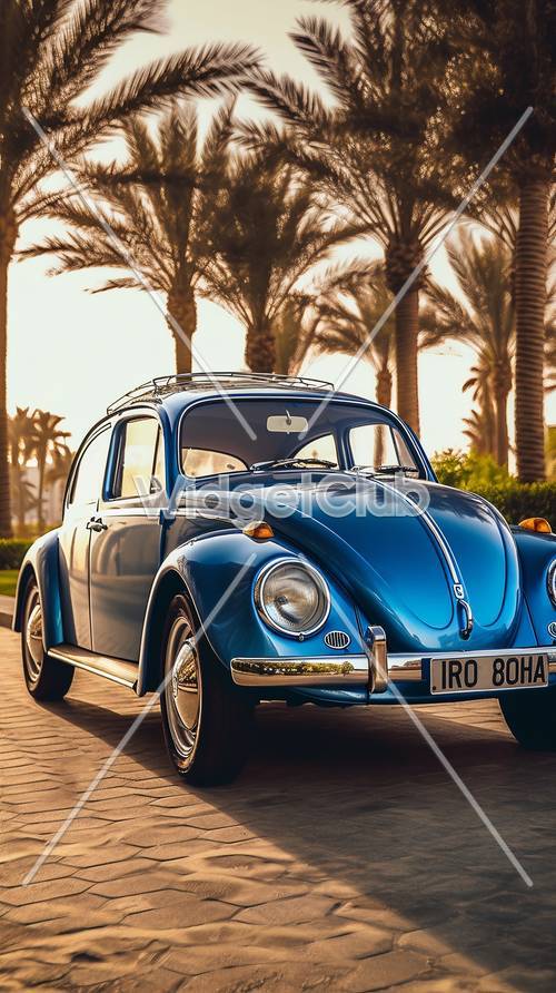 Palmiye Ağaçlarının Altında Vintage Mavi Araba