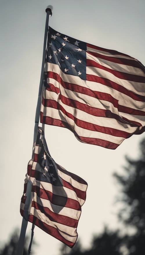 Eine amerikanische Flagge im Tarnmuster, die stolz im Wind flattert.