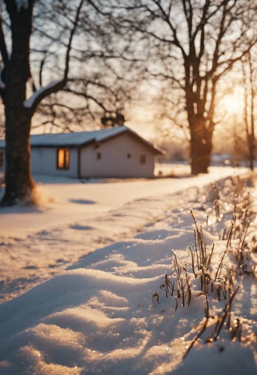 Bingkai salju di pinggiran desa pedesaan yang tenang diterangi cahaya malam keemasan.