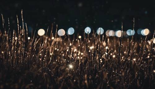 Distant city lights illuminating a field of black grass at night. Tapet [eb57a91c6b2748d39c3d]
