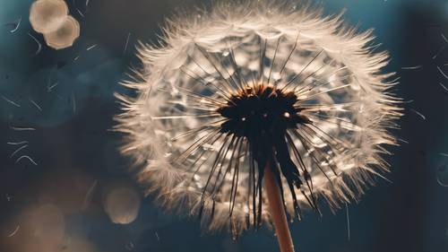 A cheery black dandelion puff, casting magical seeds into the wind.