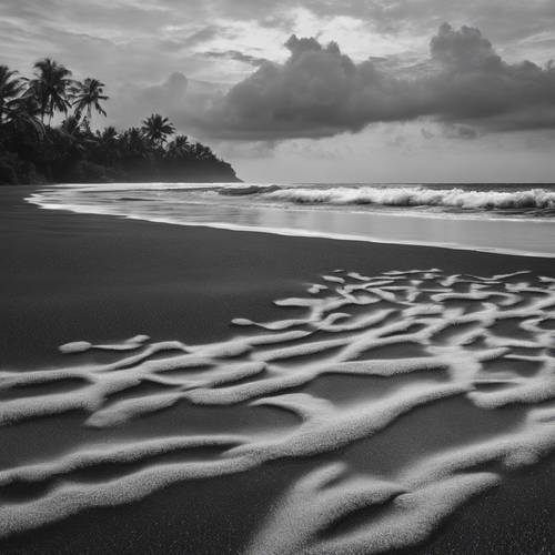Kolase monokromatik pantai pasir hitam tropis saat fajar.