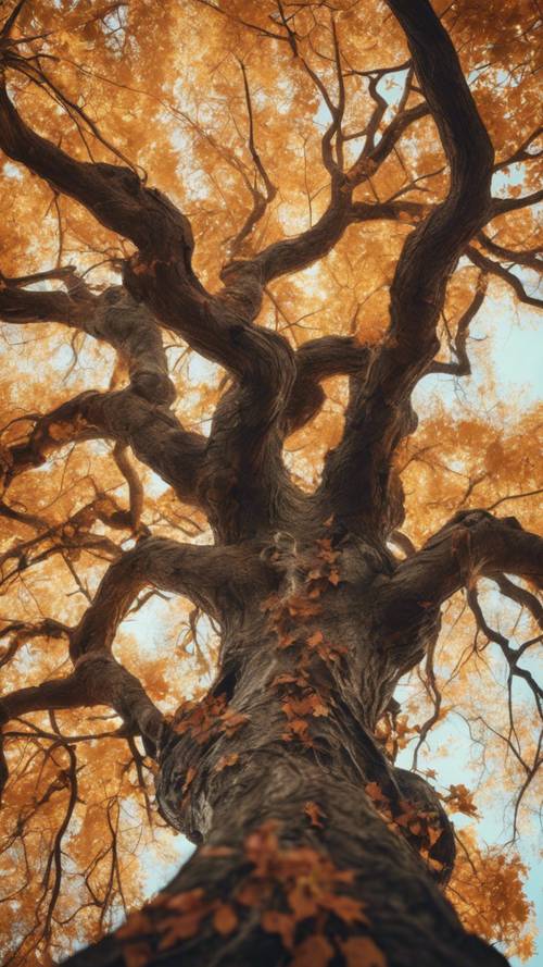 一棵古老的樹，有著粗糙的樹枝和鮮豔的秋色葉子。
