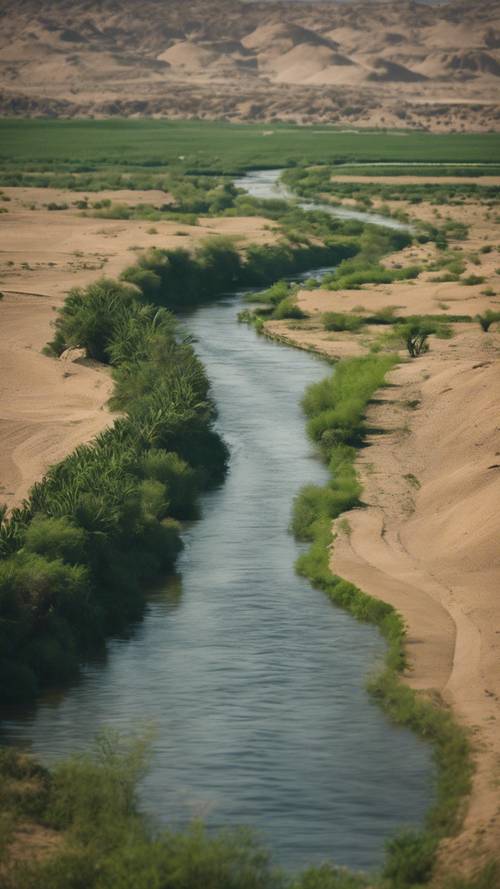 Spokojny widok na Nil przepływający przez zielone pola Egiptu.