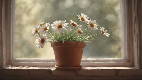 A vintage-styled render of a daisy, planted in an aged terra-cotta pot on a window sill.