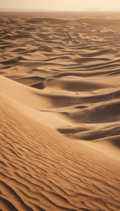 ทะเลทรายอันไม่มีที่สิ้นสุดภายใต้แสงแดดยามเที่ยงที่แผดจ้า พร้อมมองเห็นเนินทรายที่อยู่ห่างไกล