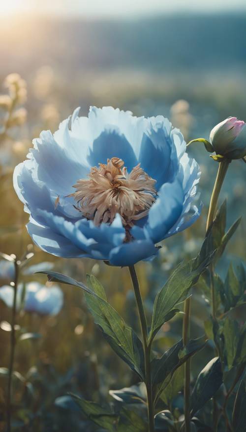 Arka planda yumuşak bir odak noktası olan, güneşli bir çayırın ortasında, tam çiçek açmış mavi bir şakayık çiçeği.