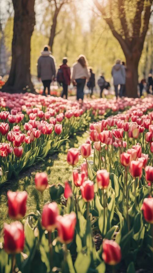 A tulip garden in the city park with people enjoying the afternoon sun.